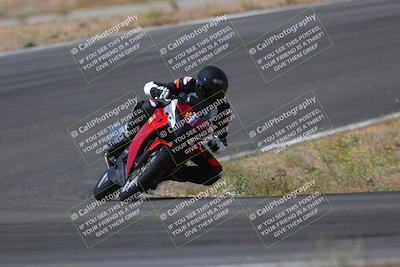 media/May-09-2022-Moto Forza (Mon) [[0226cf3505]]/Group B/B 1020am/